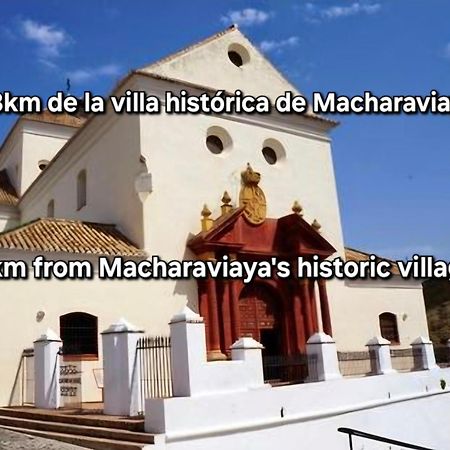 Villa El Maurel à Málaga Extérieur photo